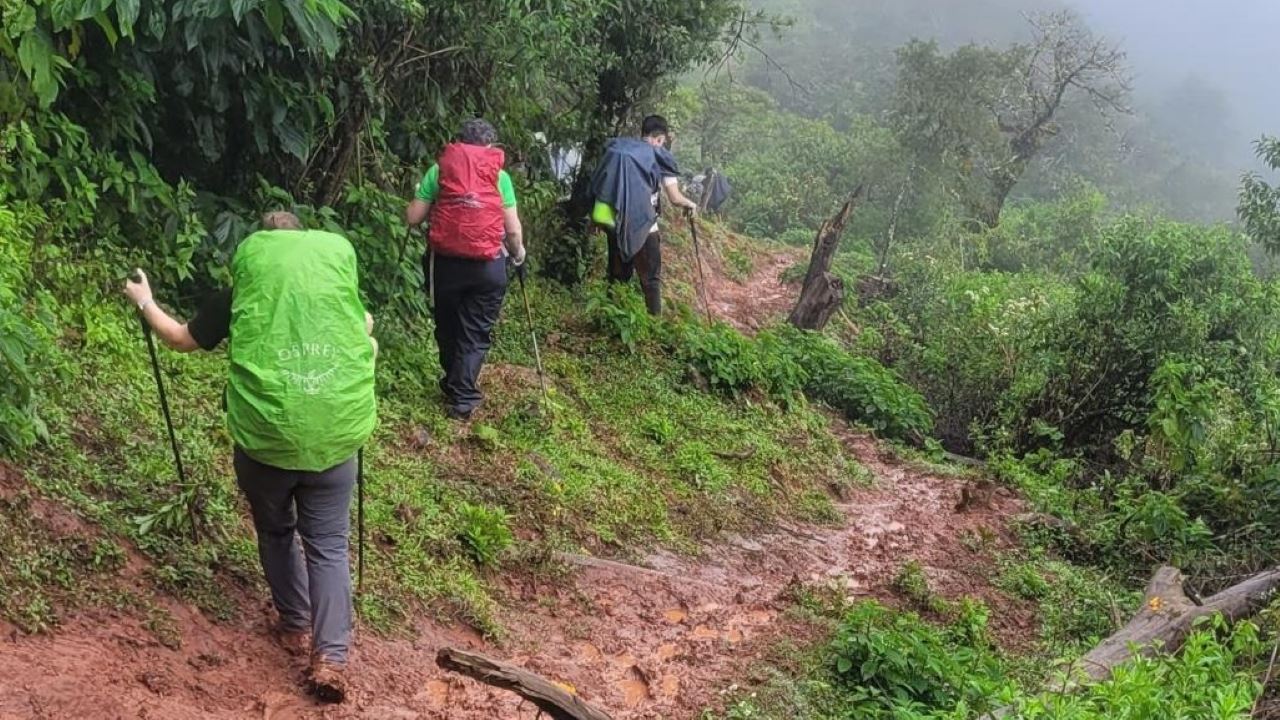 Crossing From The Puna To The Yungas