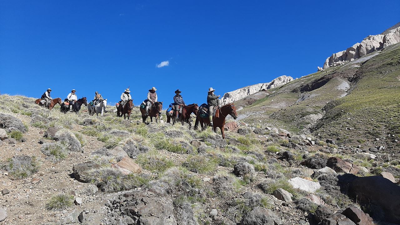 Cheval Traversant Les Andes