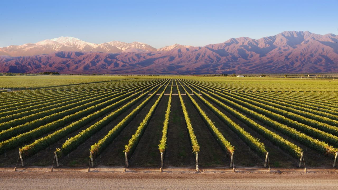 Mendoza Deluxe Reisepaket