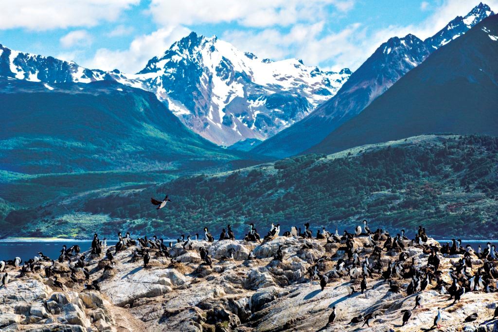 Erkundung Des Gesamten Argentinischen Patagoniens Und Der Iguazu