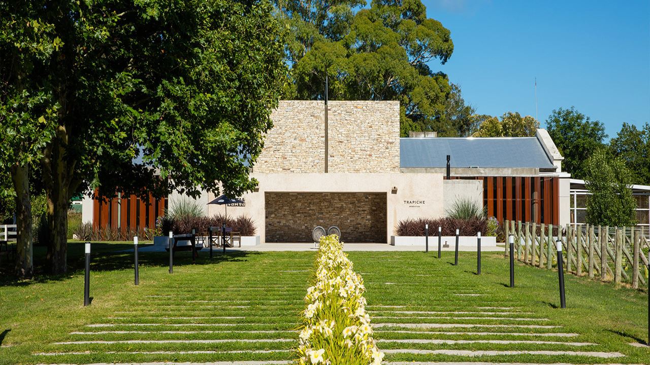 Visit And Tasting At Trapiche Winery
