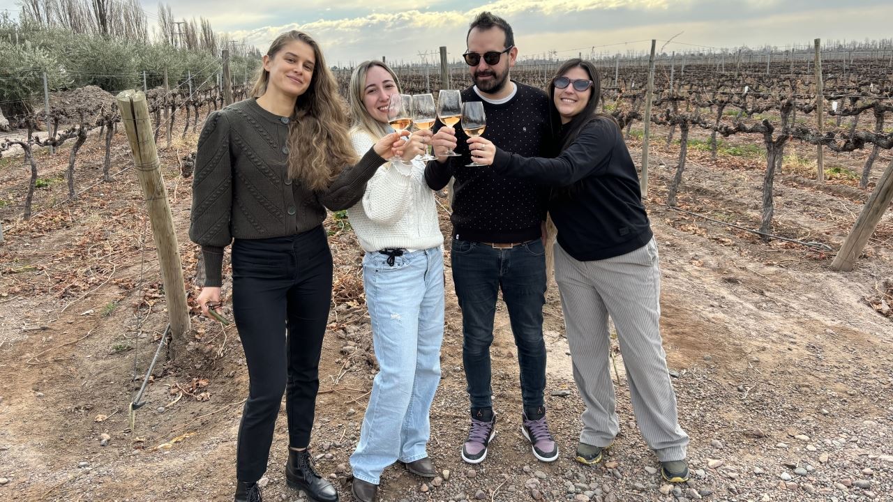 Tour A Bodegas Con Degustación De Vinos Y Almuerzo