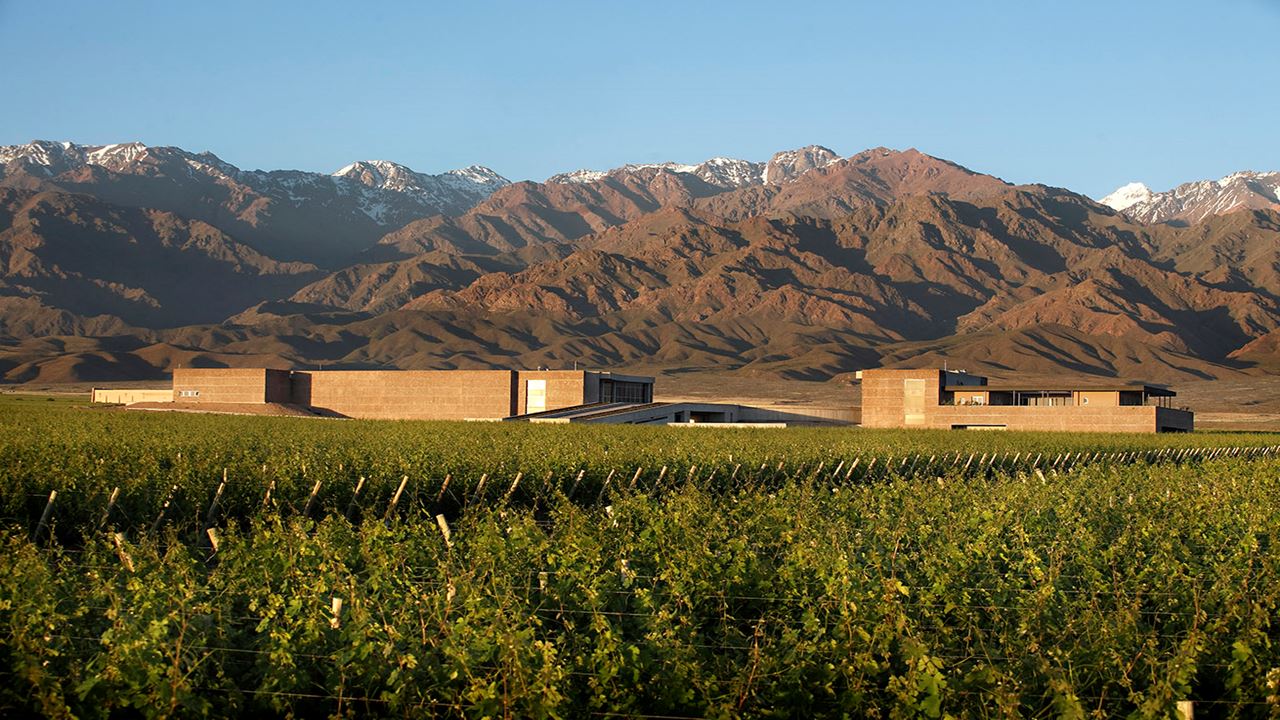 Private Wine Tour In Uco Valley
